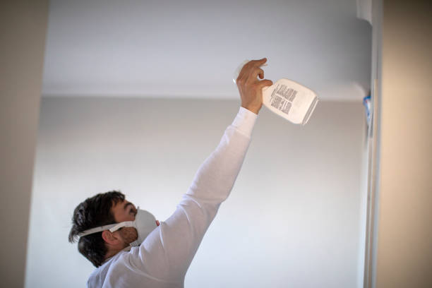Best Mold Removal Specialists  in Geistown, PA