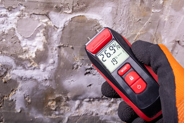Best Mold Remediation  in Geistown, PA