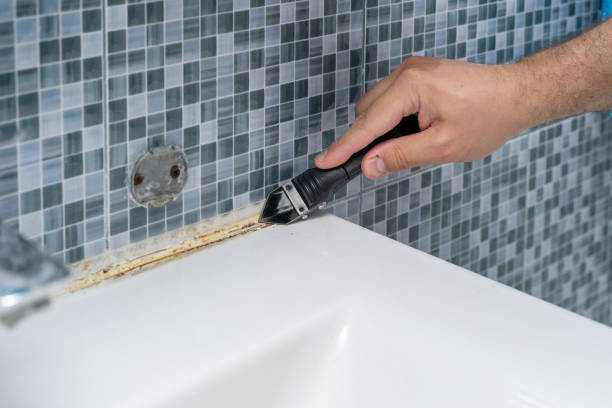 Best Emergency Mold Removal  in Geistown, PA
