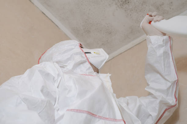 Best Crawl Space Mold Removal  in Geistown, PA