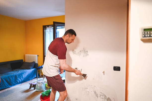 Best Affordable Mold Removal  in Geistown, PA